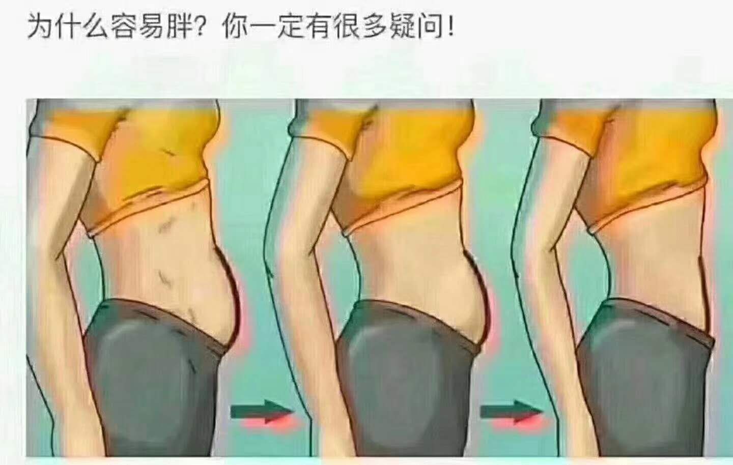 金鹏水产15172279456发布的动态配图4