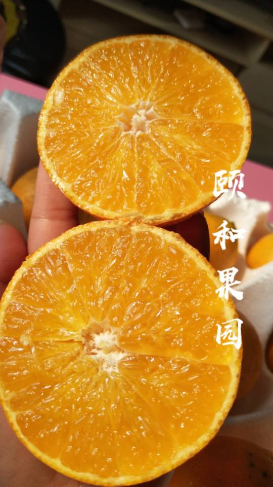颐和-寒露发布的动态配图5