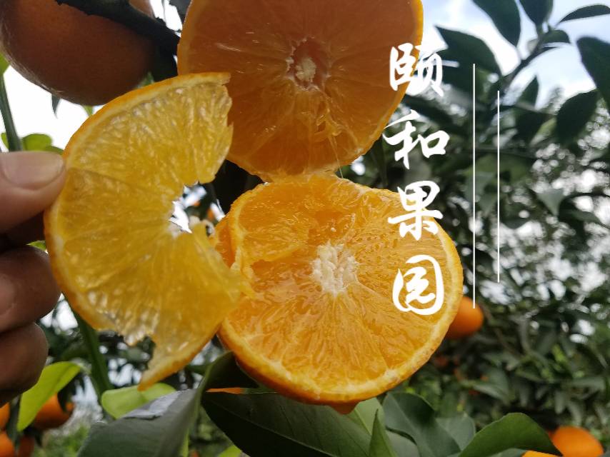 颐和-寒露发布的动态配图3