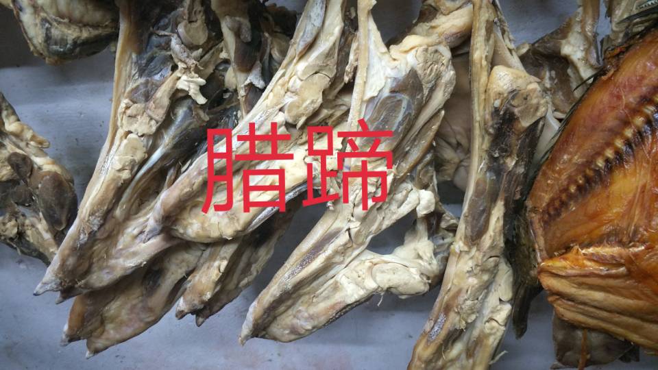 金鹏水产15172279456发布的动态配图2