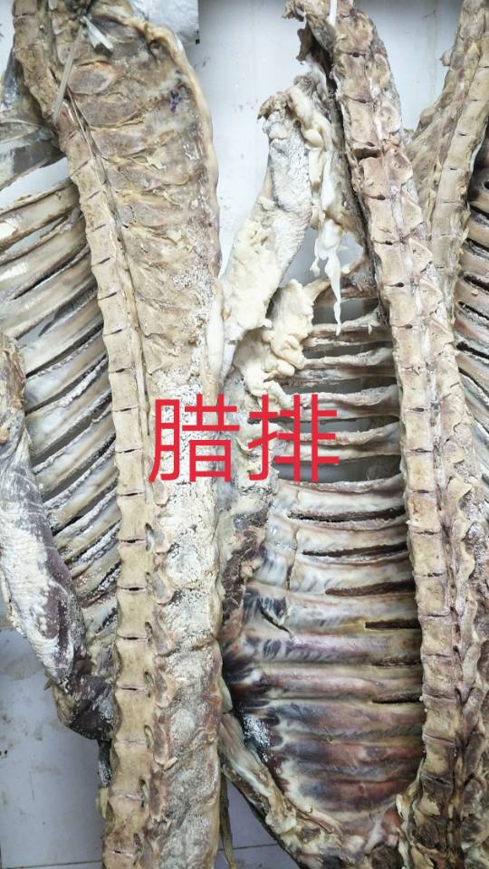 金鹏水产15172279456发布的动态配图7