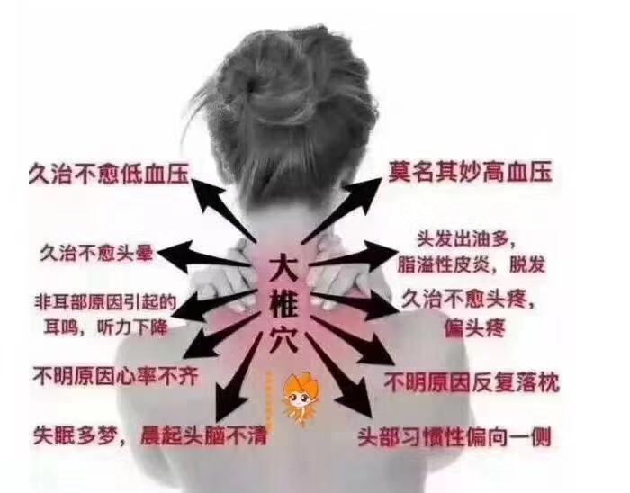 金鹏水产15172279456发布的动态配图2
