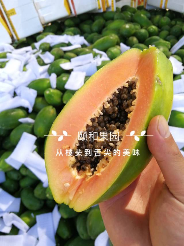 颐和-寒露发布的动态配图5