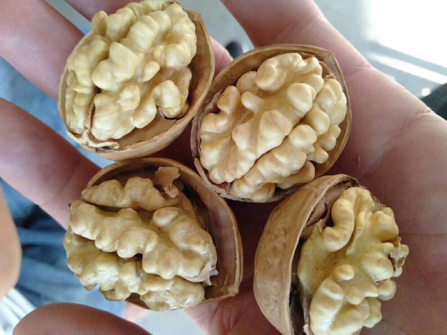新疆特产直销门店照片5
