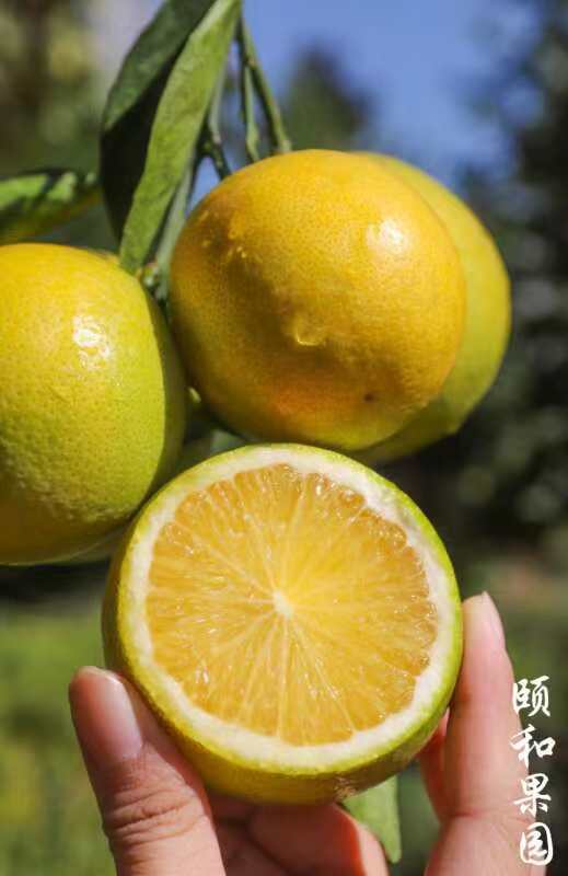 颐和-寒露发布的动态配图3