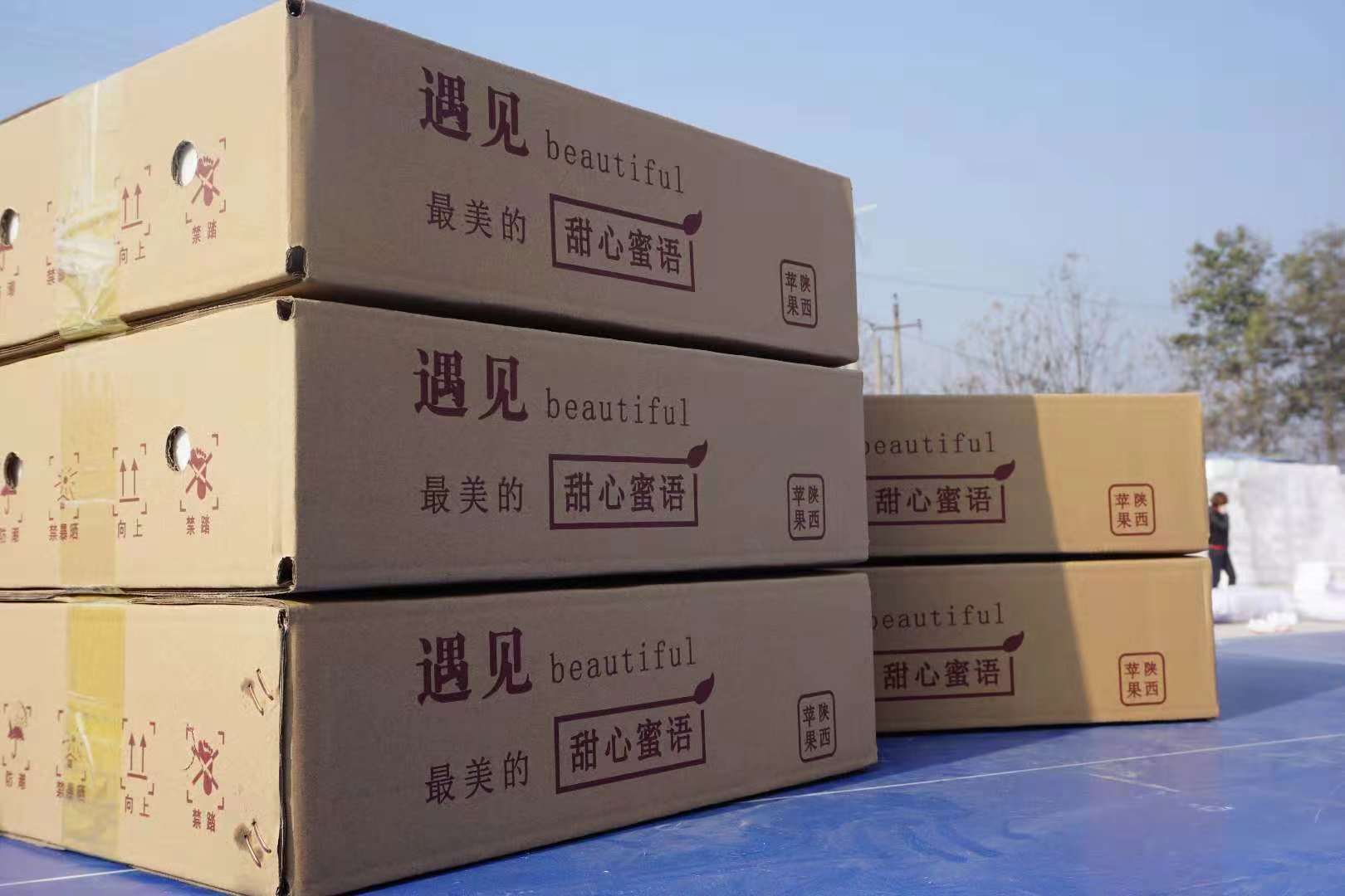 颐和-寒露发布的动态配图4