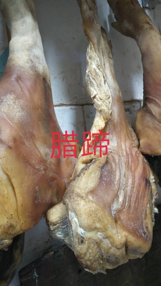 金鹏水产15172279456发布的动态配图8