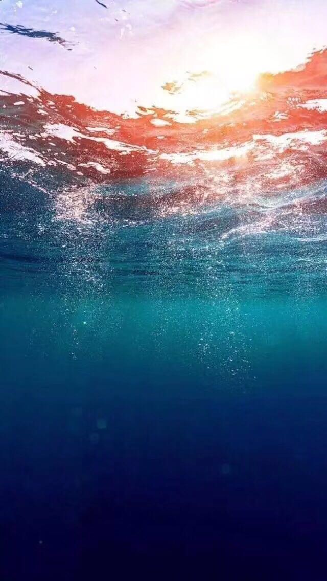 徐大爷头像