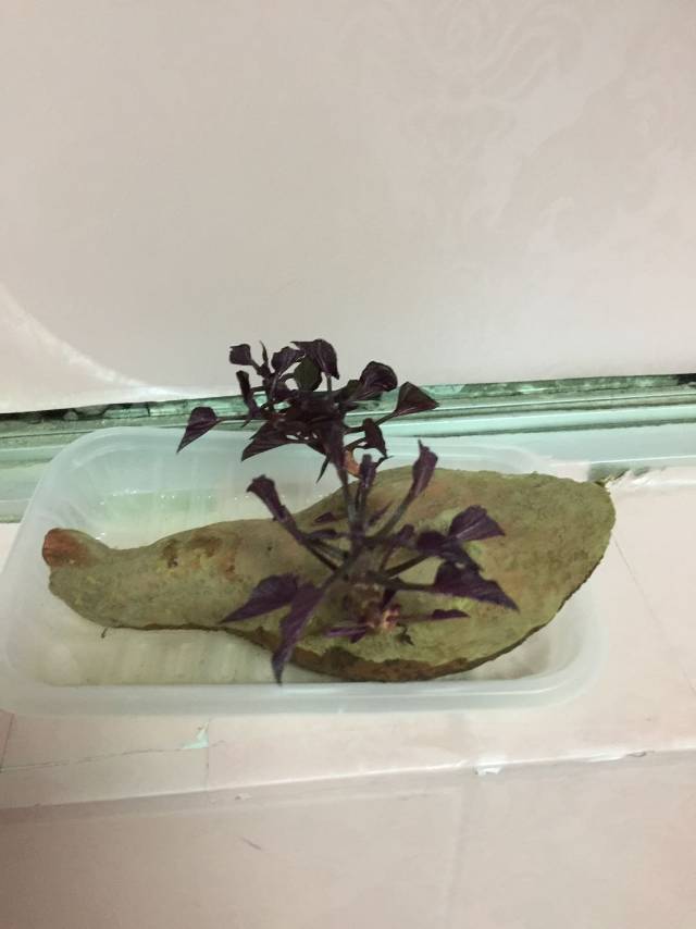 伊甸园门店形象