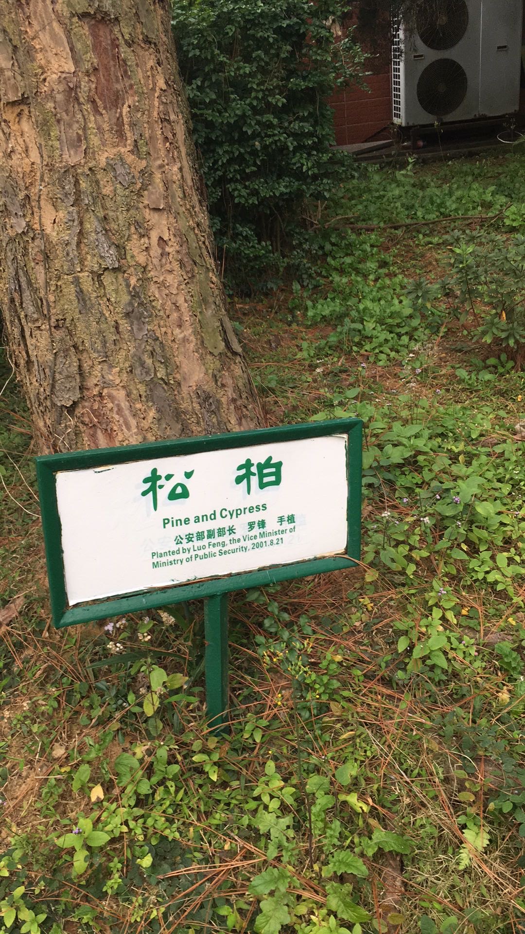 嗨嗨嗨发布的动态配图3
