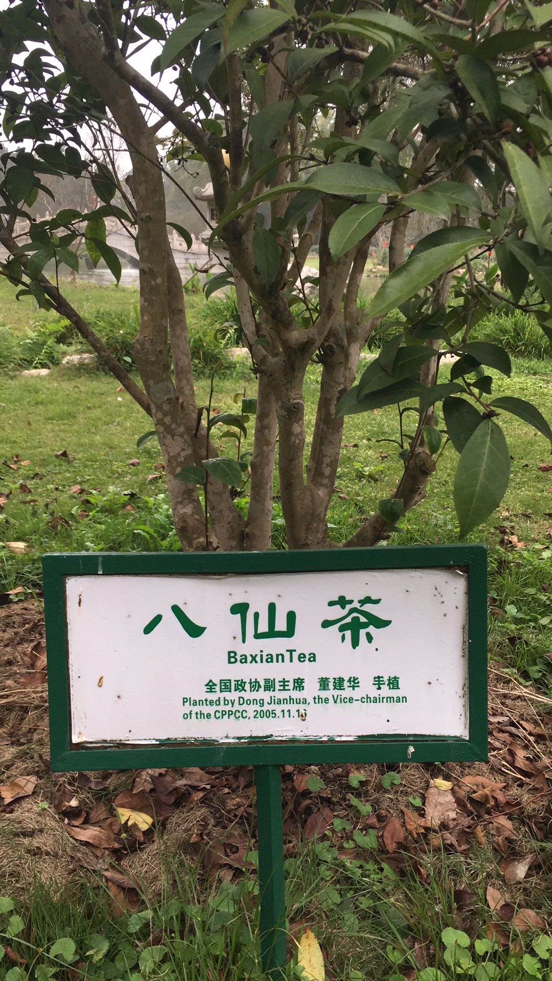 嗨嗨嗨发布的动态配图4