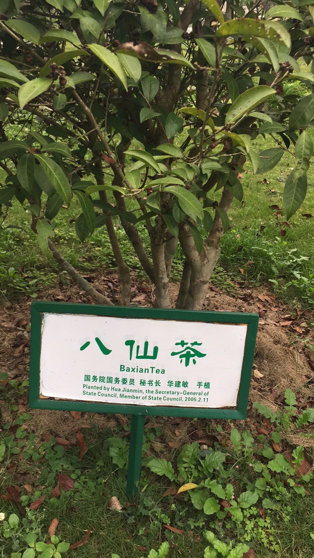 嗨嗨嗨发布的动态配图5
