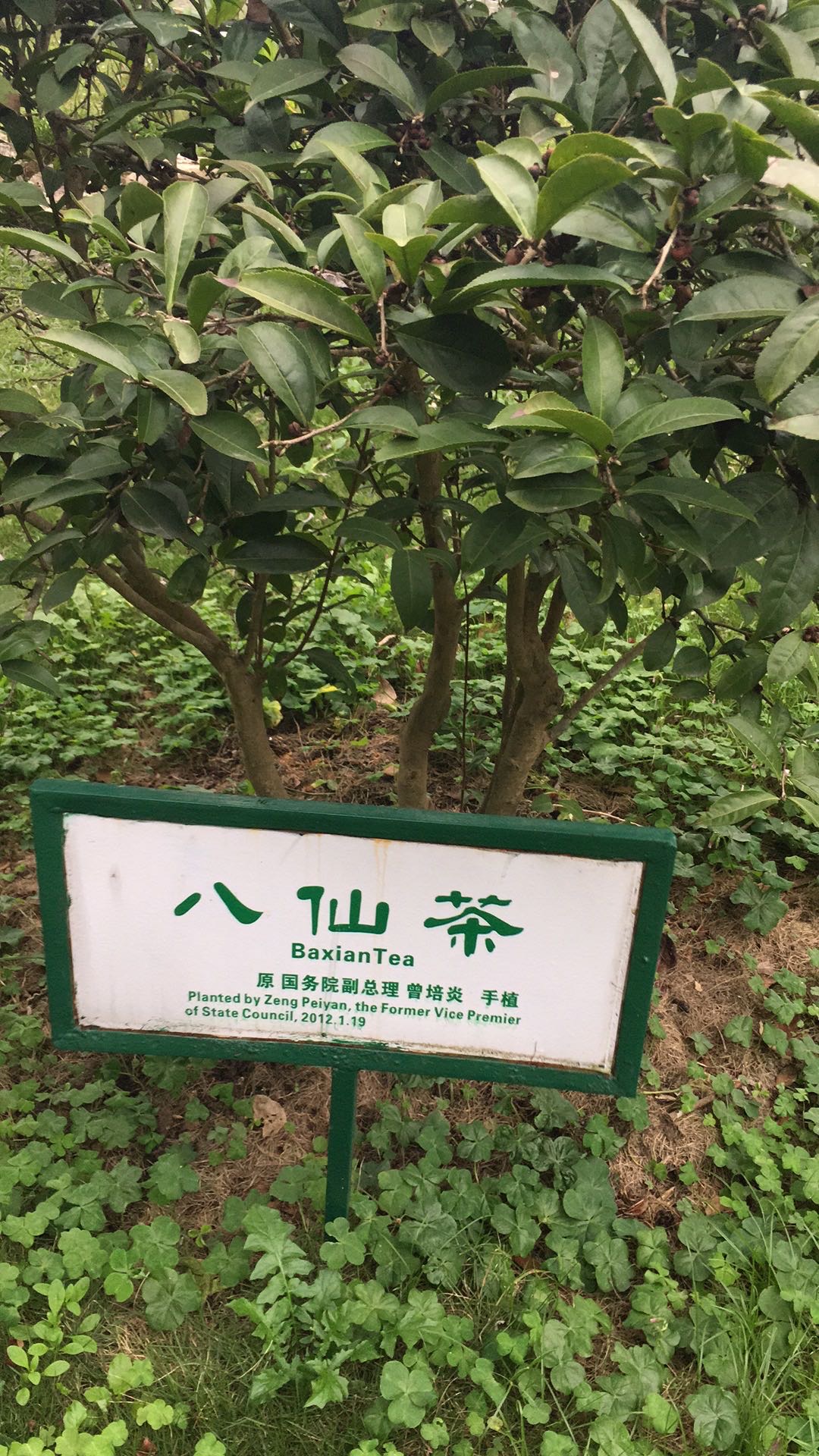 嗨嗨嗨发布的动态配图7