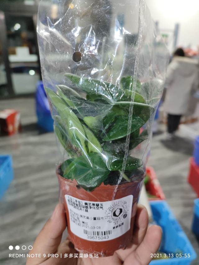 帅锅cium?发布的动态配图6