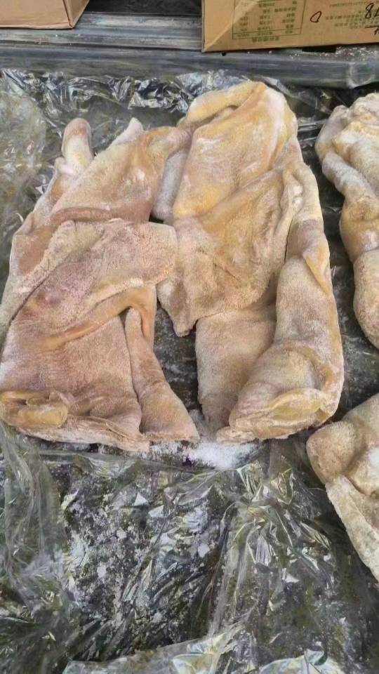 李胜牛羊冻品商行发布的动态配图8