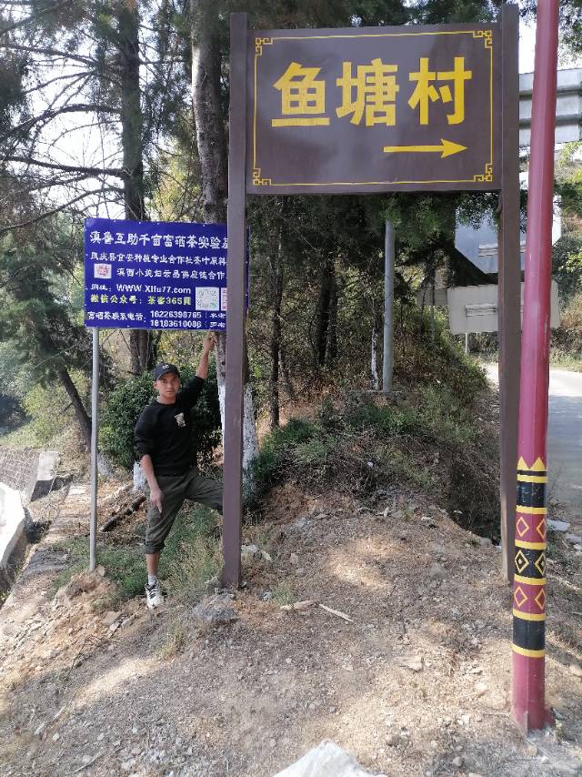 五户山品质茶发布的动态配图5