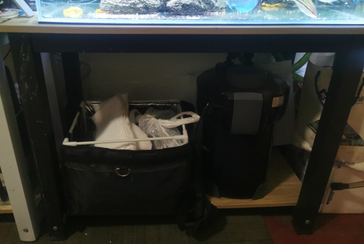 行走的红烧肉发布的动态配图4