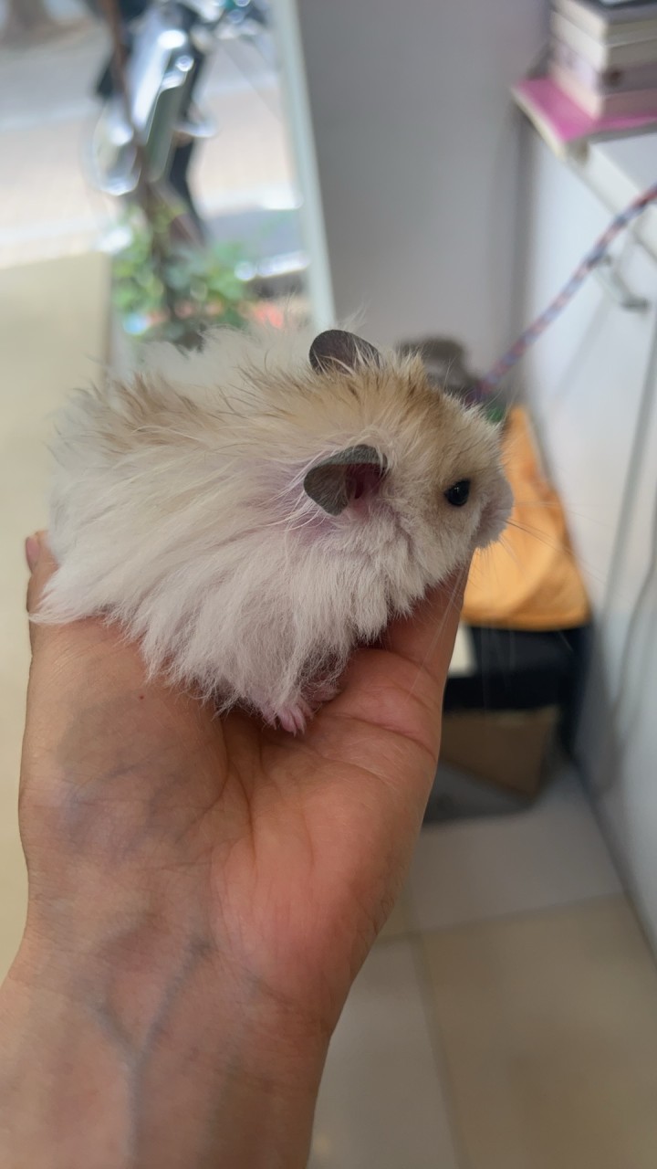 花间一壶酒༊💞发布的动态配图2