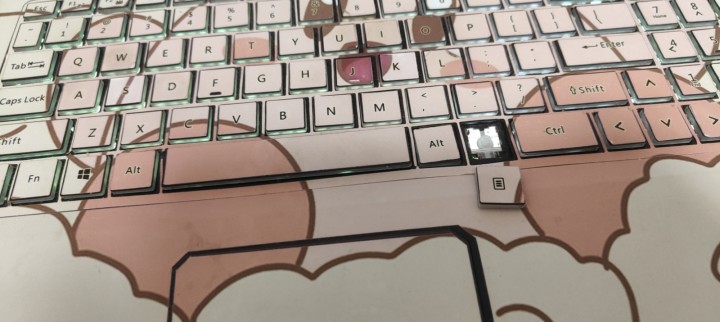 哇拉发布的动态配图4
