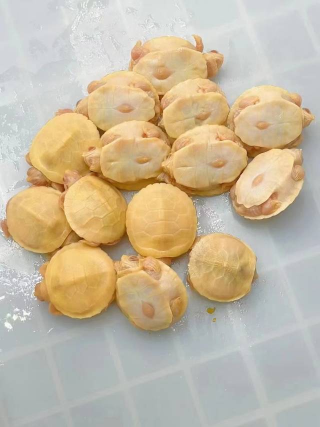 🔆  HAFETY发布的动态配图8