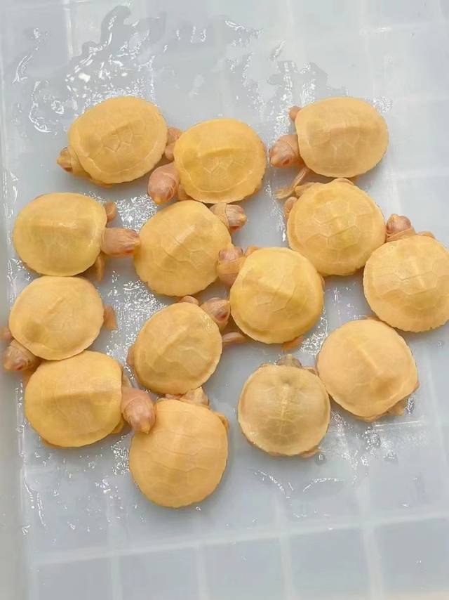 🔆  HAFETY发布的动态配图9