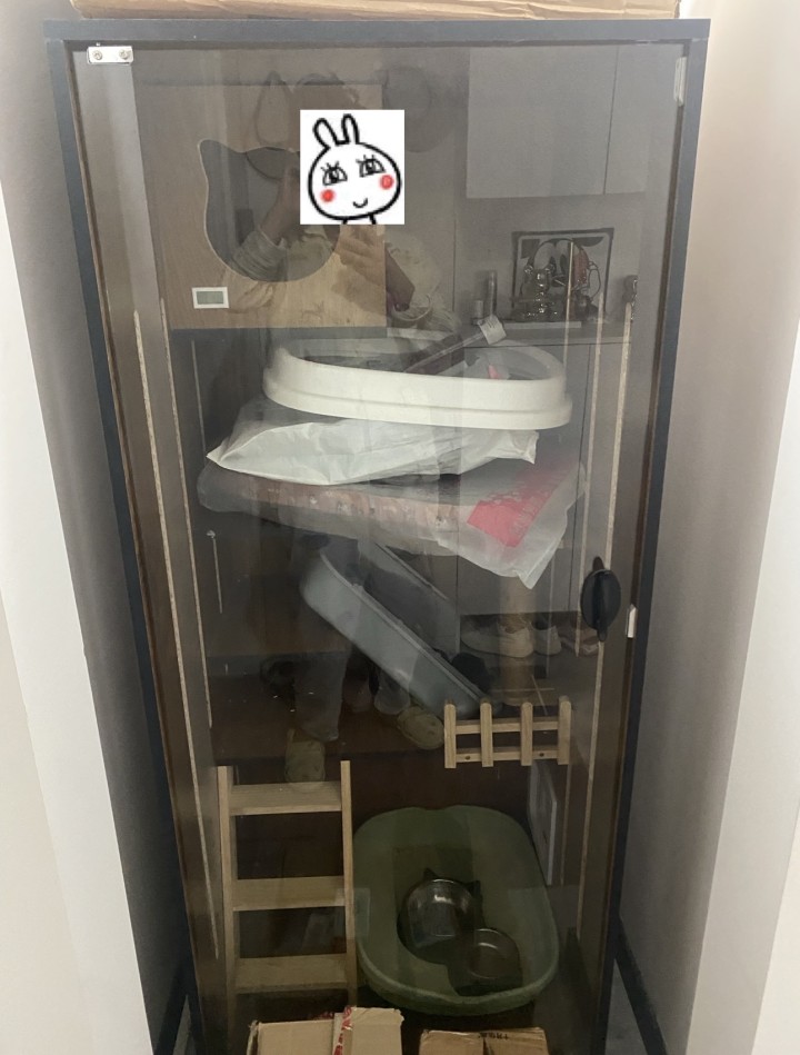 猫咪别墅等物品发布的动态配图2