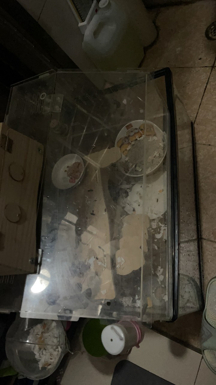 林发布的动态配图4