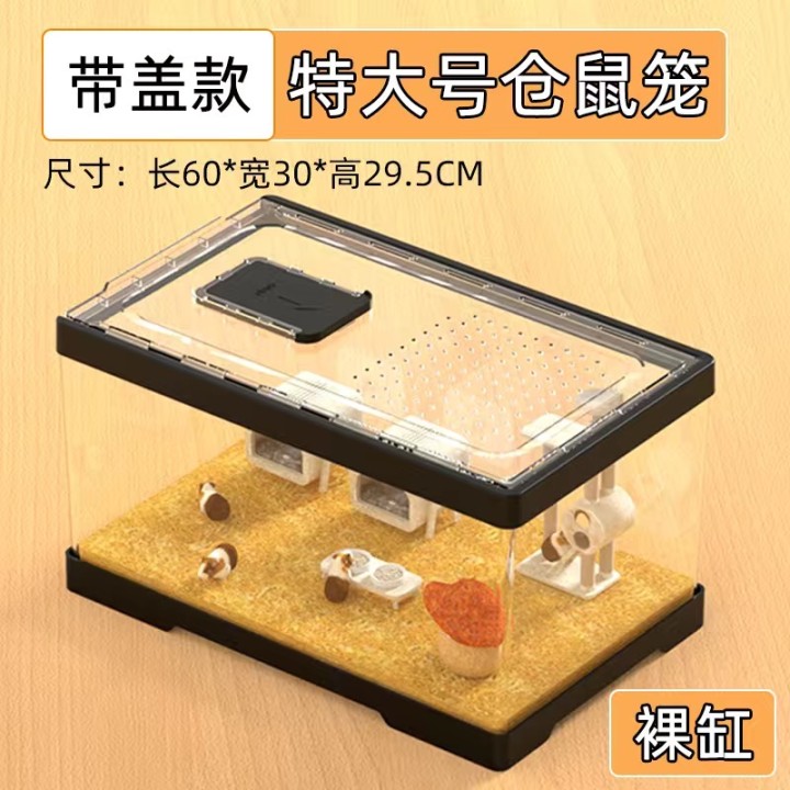 林发布的动态配图9