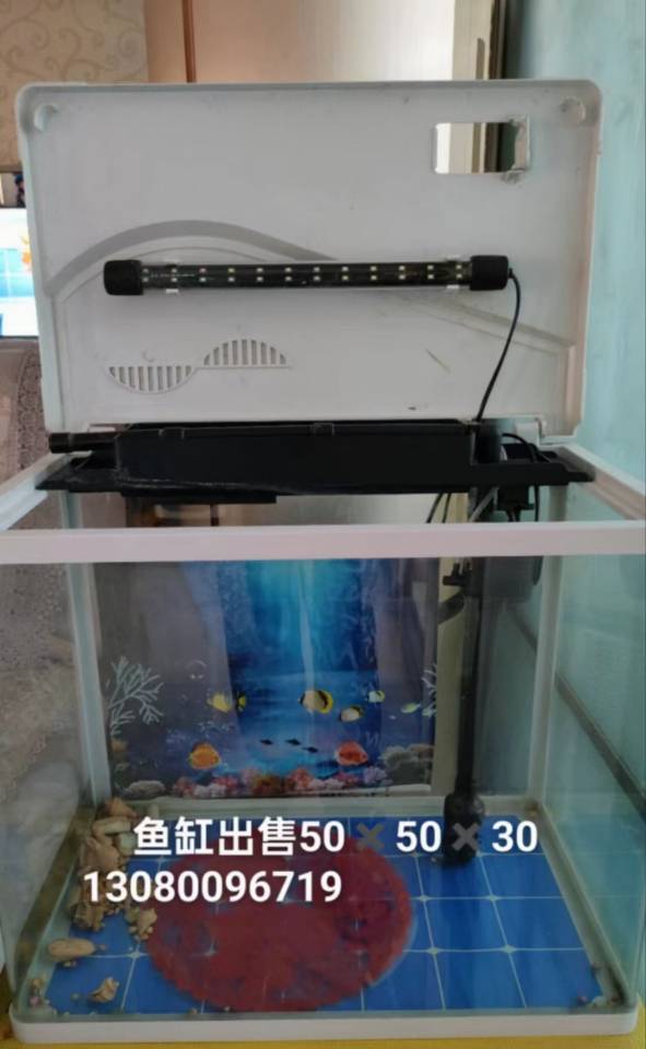 无我发布的动态配图4