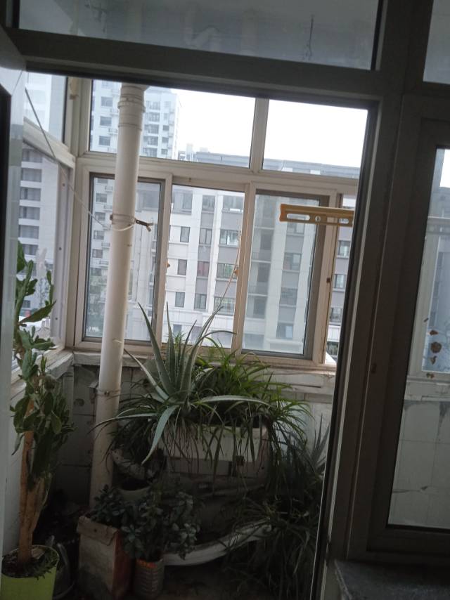 谷鑫发布的动态配图4