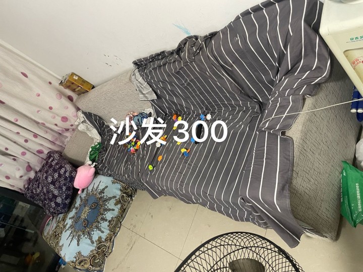 子非鱼🐟发布的动态配图3