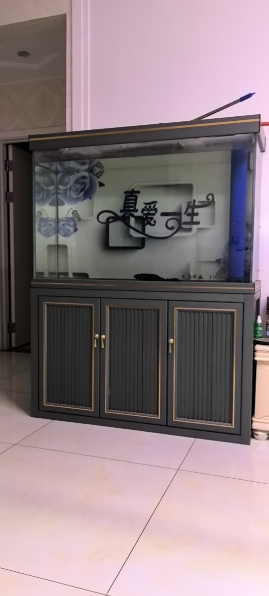 修发布的动态配图2