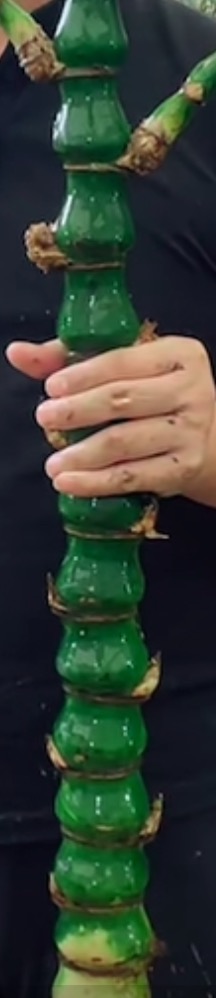失约发布的动态配图2