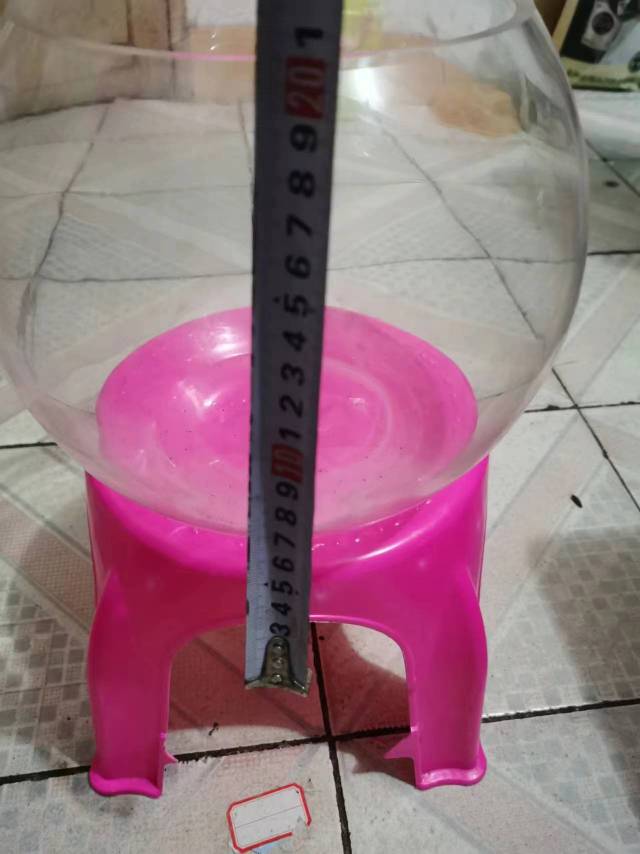 珍珍发布的动态配图4