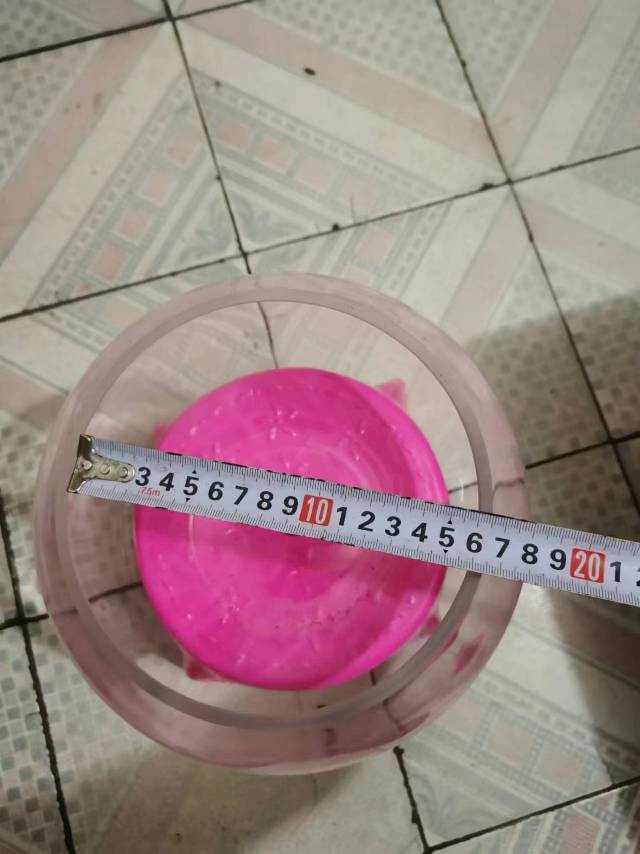 珍珍发布的动态配图3