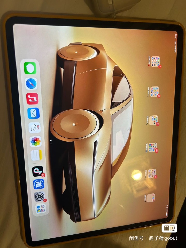 出一个自己的苹果平板发布的动态配图4