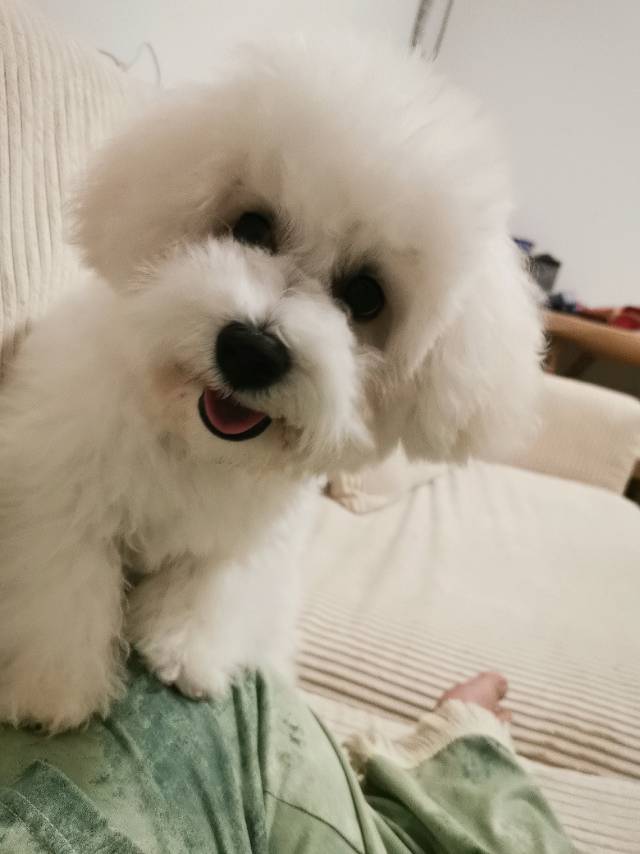 杨军儿发布的动态配图4