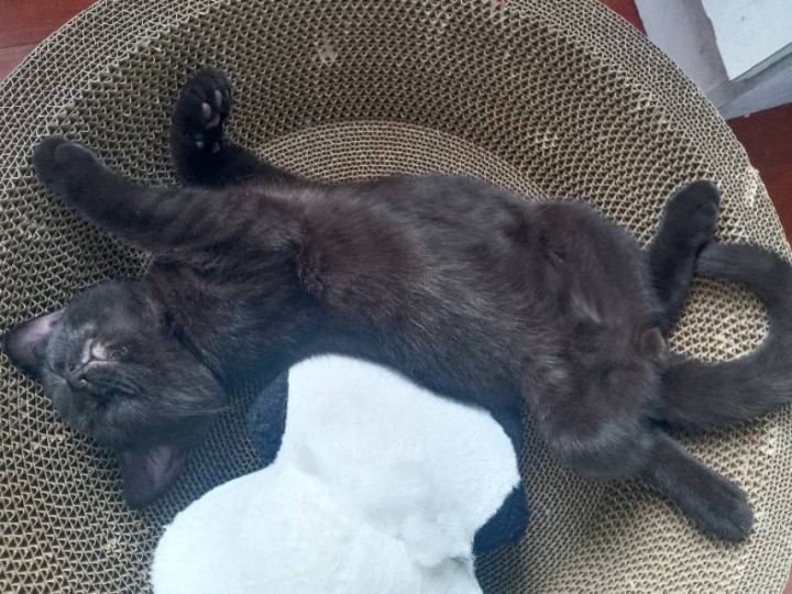 耀发布的动态配图2
