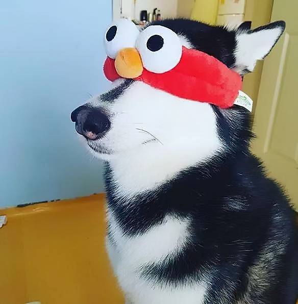 陈头像