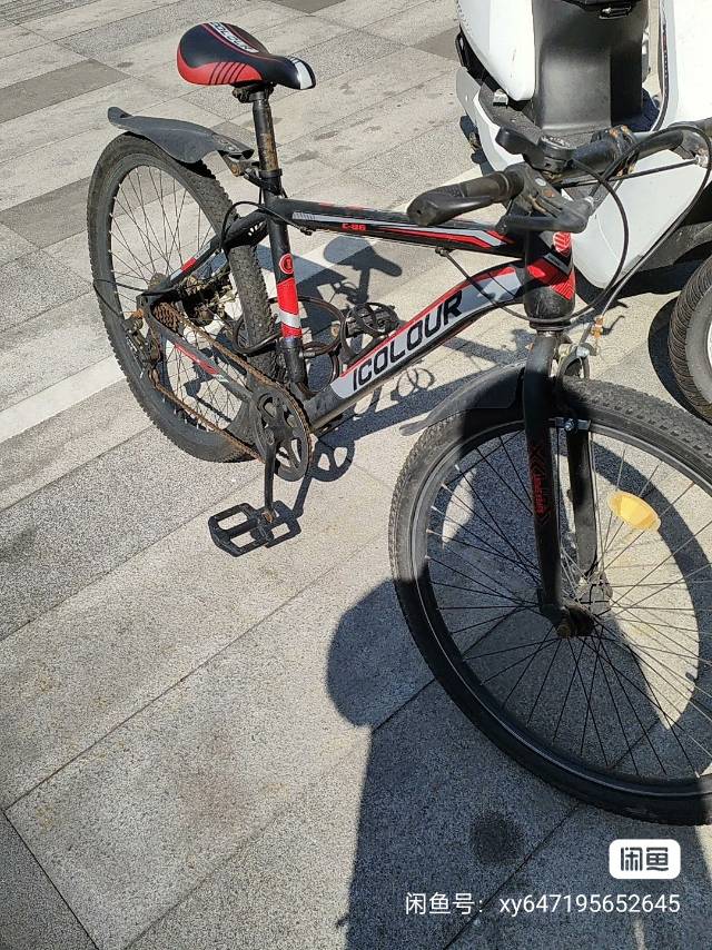 林发布的动态配图3