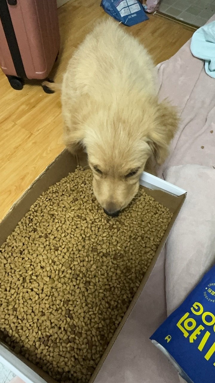 在发布的动态配图3