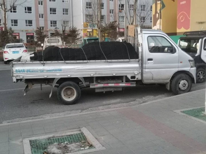 杨先生发布的动态配图4