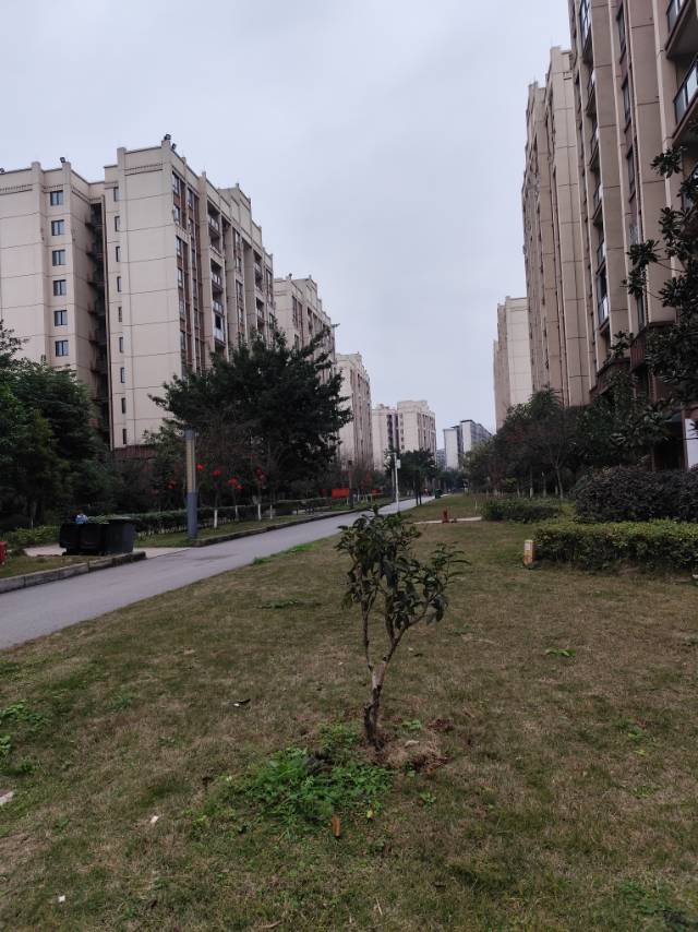 满当当的心发布的动态配图3