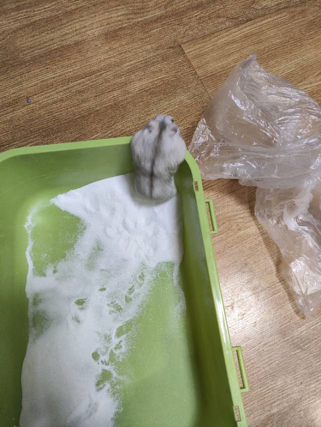 半梦半醒发布的动态配图2