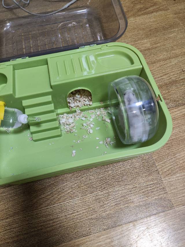 半梦半醒发布的动态配图4