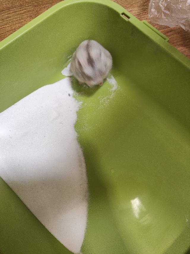 半梦半醒发布的动态配图3