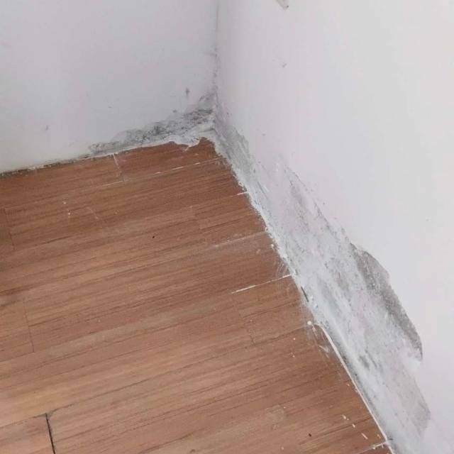 家电清洗，墙面翻新发布的动态配图3