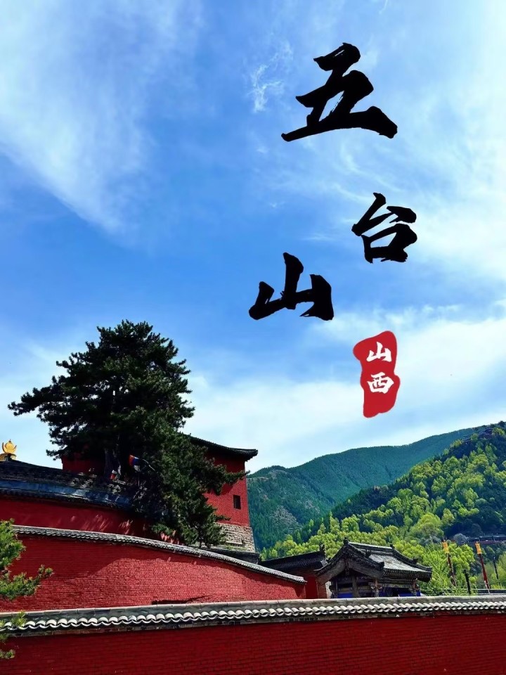 宁 丶发布的动态配图2