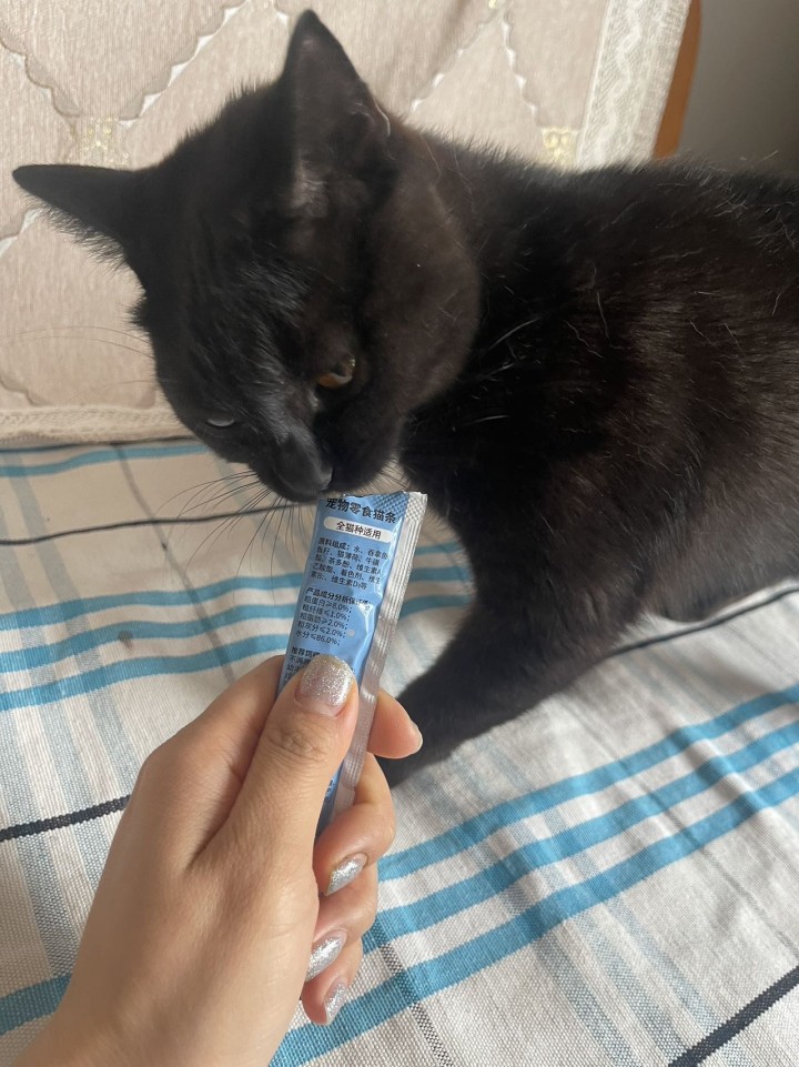猫猫发布的动态配图4