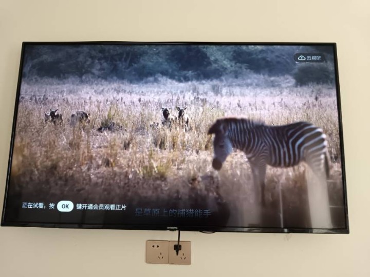 相棋发布的动态配图5